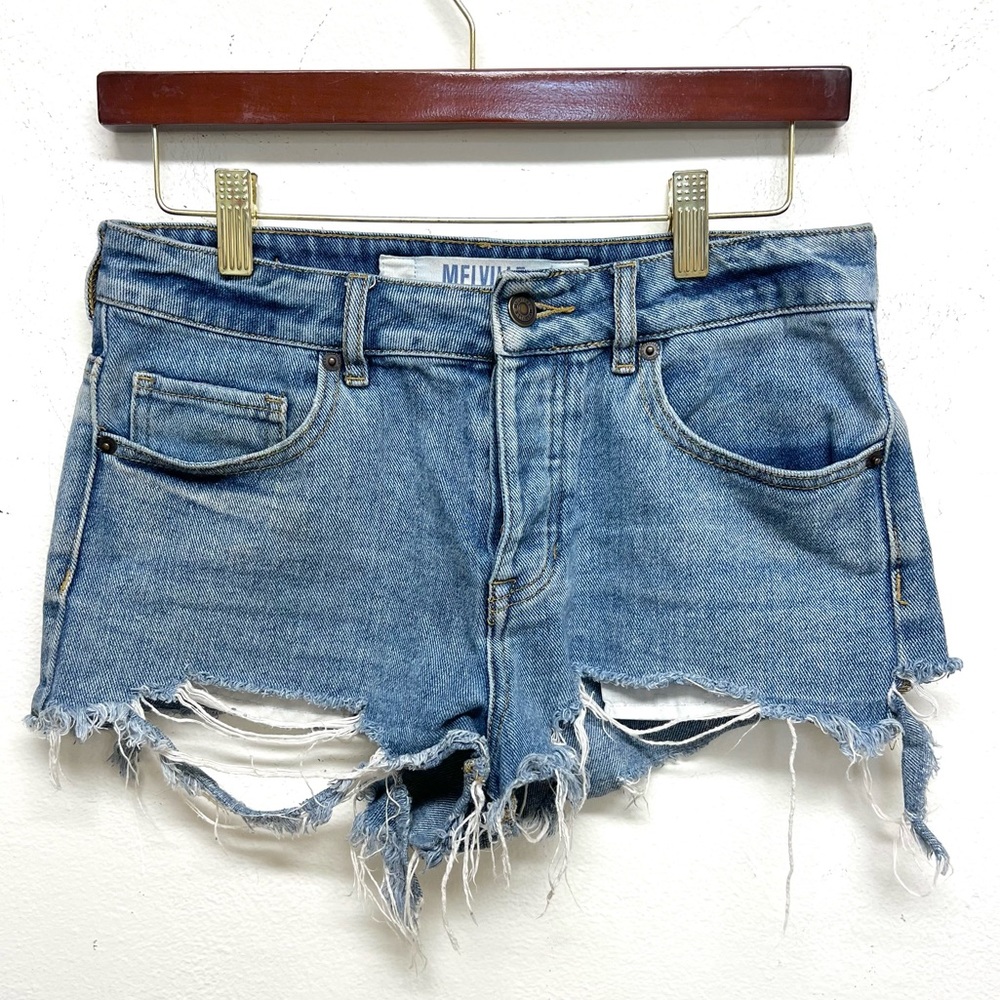 Brandy Melville Jean Shorts